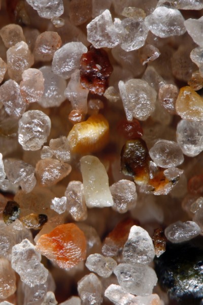 Sand Grains from Eilat, Isreal, magnified 100X